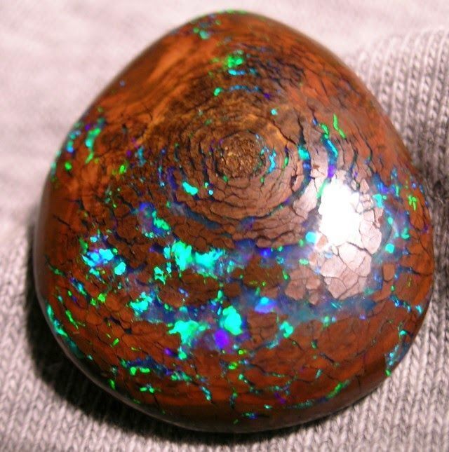 Wood Opal